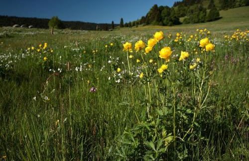 Ferienwohnung im Bernautal - Foto 42