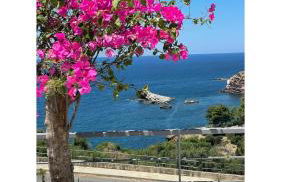 Cocciu d’amuri - Foto 28