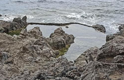 oasis en Tenerife 3 - Foto 14