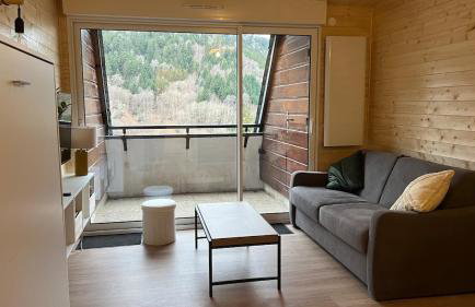 Studio cosy Mont-Dore avec vue, balcon, parking - Foto 5
