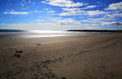 Scottish countryside Bothy - Photo 9