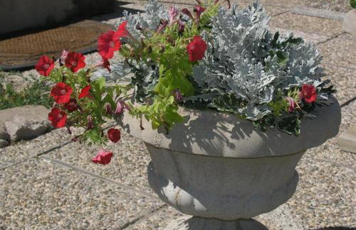 Apartment Jadranka with views of the sea - Photo 14