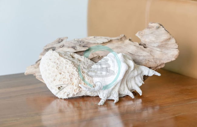 Coastal Oasis Panoramic Ocean View - Pool - BBQ - Foto 8