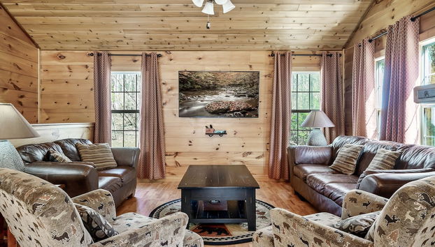 Fireflies and Moonshine - Foto 2, Imagen principal