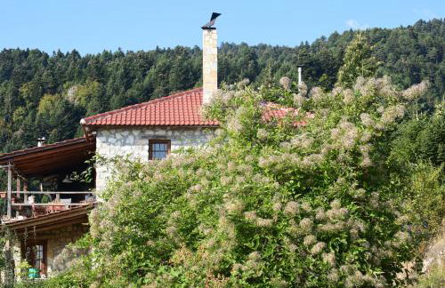 Arli House - Photo 1