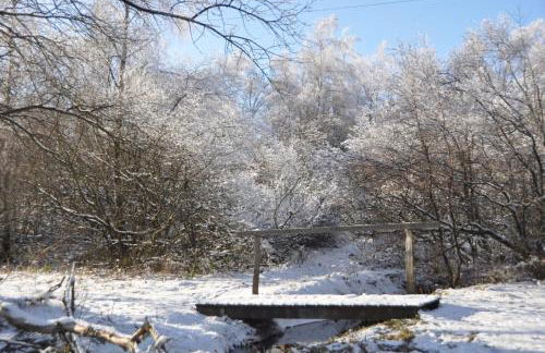 Alt Monjoie - Foto 36