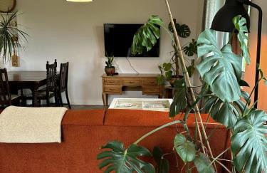 Lawendowy Raj - Foto 34