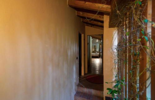 Villa Zarri Guest House - Photo 36