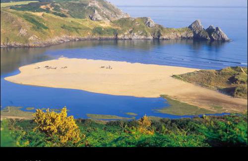 The Forager's Rest - Foto 67