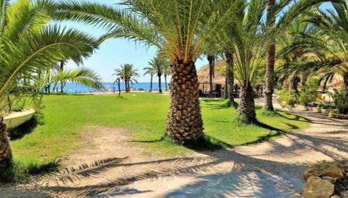 Paradise Costablanca K - Photo 4