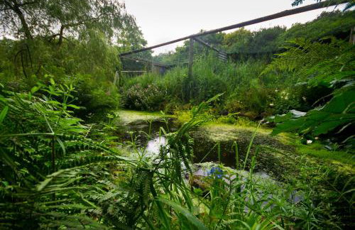 Bird Nest - dine with the eagles Private Retreat - Foto 17