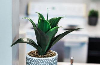 Modern condo closest to the University of SC - Foto 34