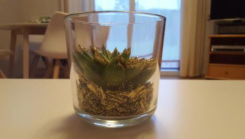 Erholung Pur bei Nina - Foto 5