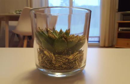 Erholung Pur bei Nina - Foto 5