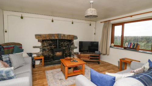 Blaenferwig - Foto 4