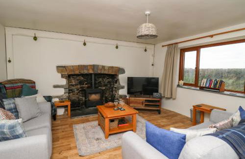 Blaenferwig - Photo 4