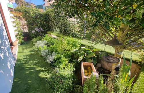 Suite Curry - Photo 12