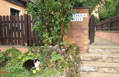Ferienhaus Sylvia beim Waldrand - Foto 32