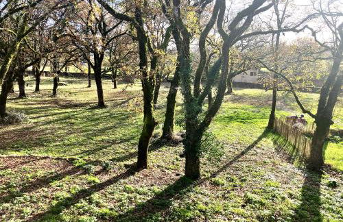 Grand gite & petit gite - Photo 14