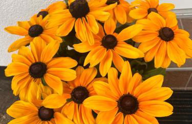 Fe Wo auf der Alb - Foto 23