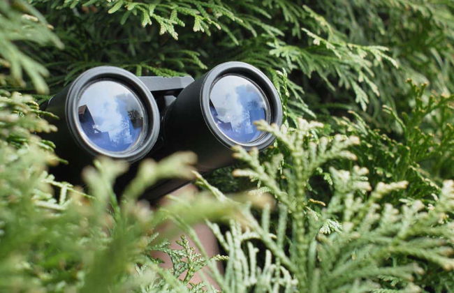 Avistamiento de aves en Castries Waterworks - Foto 4