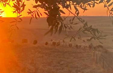 Canto da Planície - Foto 64