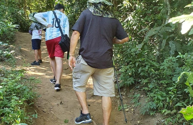 Andorinhas - Foto 31