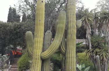 LA VILLA DEL PARAISO - Foto 27