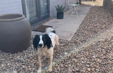 Apartment close to Belvoir Castle, Bottesford, pet friendly - Foto 7