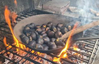CA LA MIMI, avec vue sur le mont Canigó - Foto 12