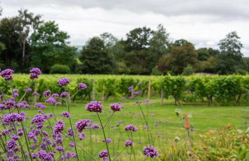 Hop Cottage Coddington Vineyard - Foto 7