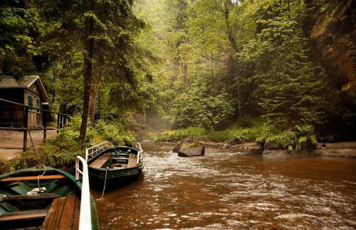 Ferienwohnung zum Sebnitzer Hirsch - Photo 32