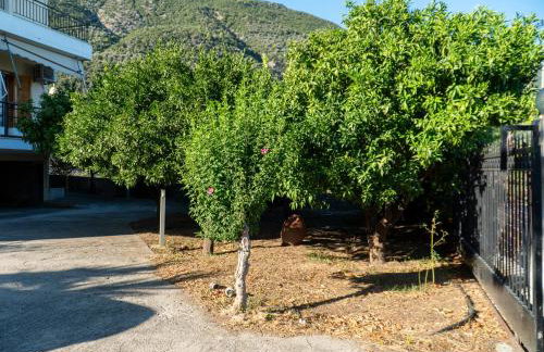 Davis Studios & Apartments - Ήλια Βόρειας Εύβοιας - 1' από τη θάλασσα - Foto 7