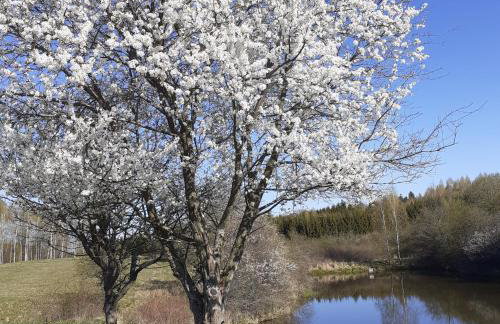Marcinowa Zagroda - Foto 23