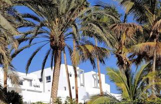 Estrella de Mar - Photo 1