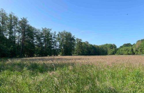 Ferienwohnung LANDZEIT - Foto 17