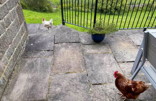 River View Pateley - Uk47337 - Foto 17