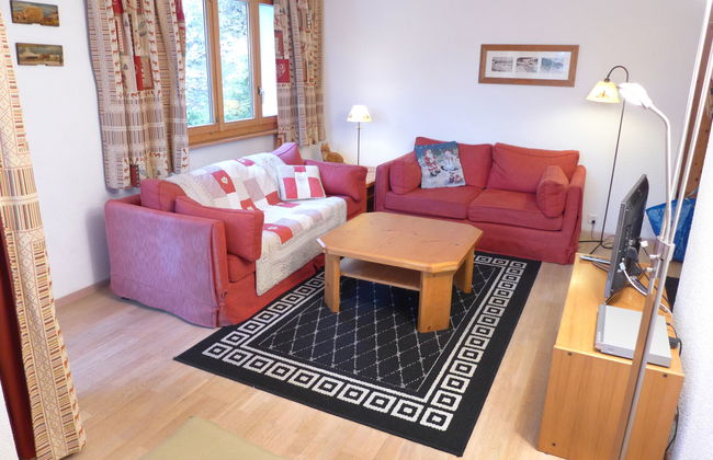 Terrasse Des Alpes 917 - Foto 8