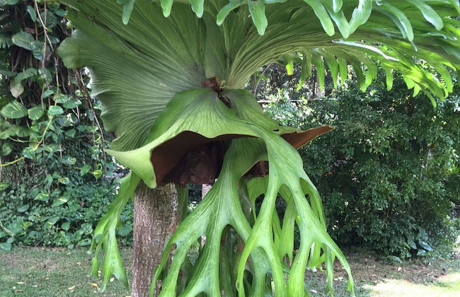 Curtis Cottage - Foto 12