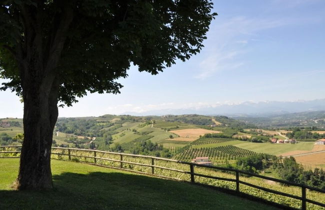 Bricco Rosso - Foto 25