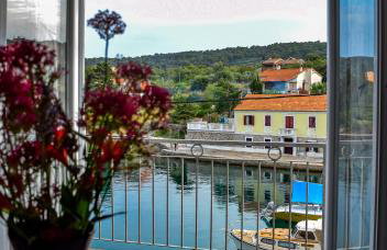 Maslinčica - Foto 2