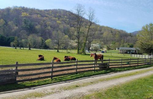 Country Mountain Escape! - Foto 20