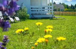 Domki na górce - Photo 1