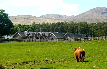 The Bothy, Gallin, Glenlyon, Perthshire - Foto 1
