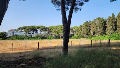 Casa Fiordaliso - Foto 5