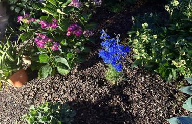 Recinto Nobili 2 - private parking vista cortile - Foto 24