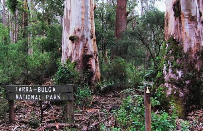 Tarra Valley Retreat - Foto 37