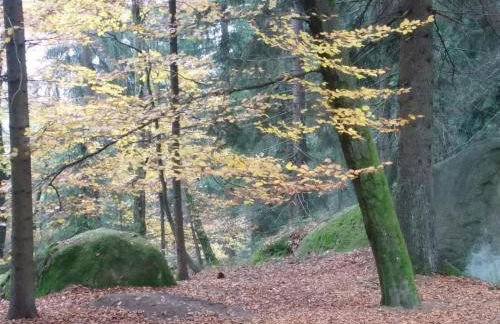 Apartment Appartement in Vordorfermühle mit Garten by Interhome - Foto 22