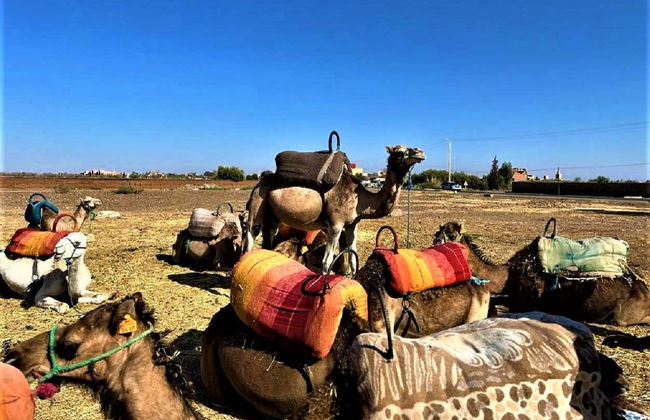 Three Valleys & Atlas Mountains Tour + Lunch - Photo 4