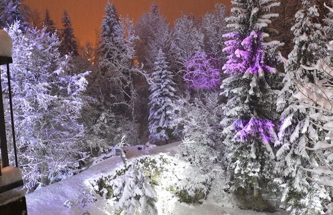 Le Moulin des Olirics - Foto 1